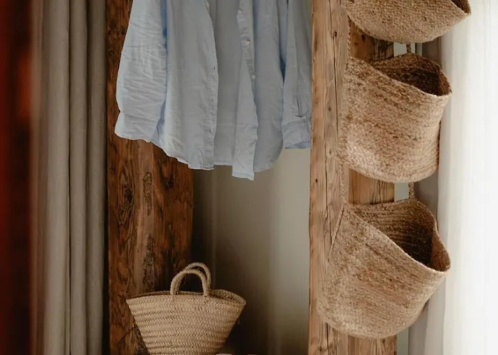 Vena زاكوباني