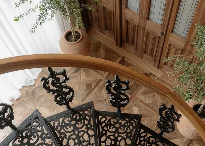 Vena زاكوباني